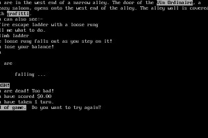 Thief's Adventure