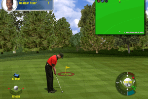 Tiger Woods PGA Tour 2001
