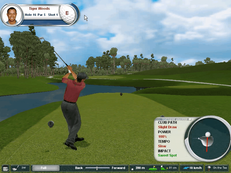 Tiger Woods PGA Tour 2002