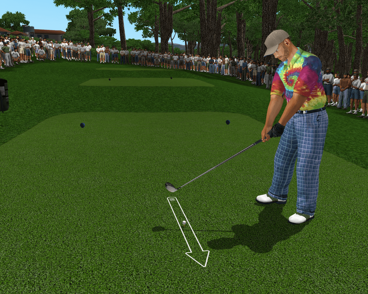 Tiger Woods PGA Tour 2003