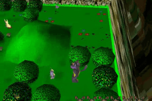 Tiny Trails