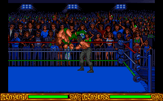 Top Wrestling