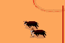 Toro
