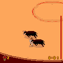 Toro