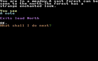 Treasure Hunter
