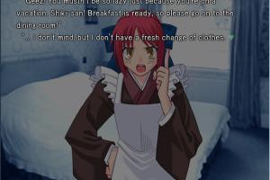 Tsukihime Plus+Disc
