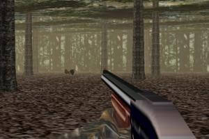 Turkey Hunt 3D