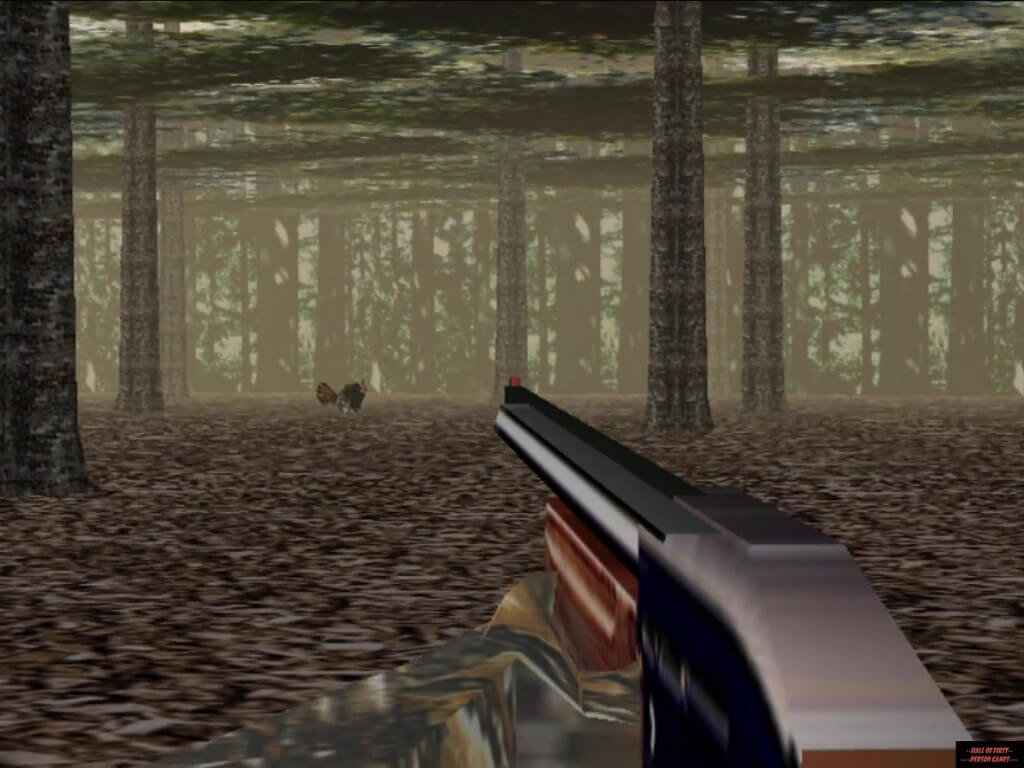 Turkey Hunt 3D