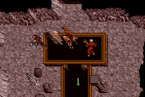 Ultima VII: Part Two - The Silver Seed