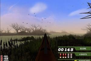 Ultimate Duck Hunting
