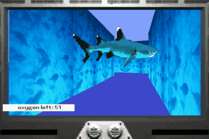 Undersea Adventure
