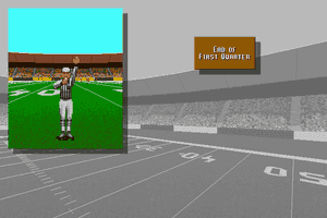 Unnecessary Roughness '95