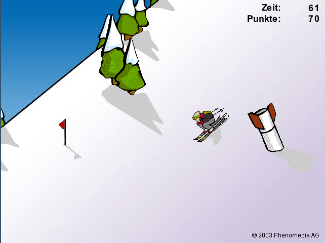 V-Ski-Cross