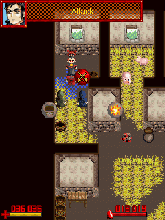 Vampires Dawn: Deceit of Heretics