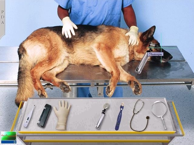 Vet Emergency