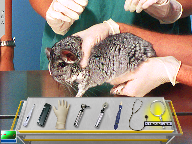 Vet Emergency 2