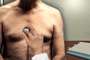 Virtual Surgeon: Open Heart