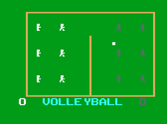 Volleyball!