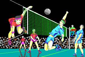 Volleyball Simulator