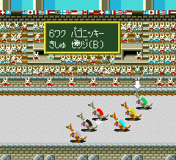 Wallaby!! Usagi no Kuni no Kangaroo Race
