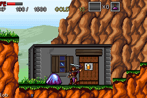 Wandering Fighter