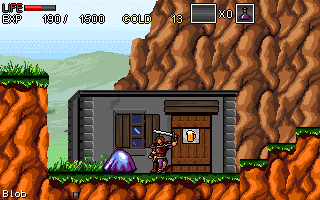 Wandering Fighter