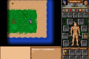 WarWizard 2