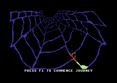 Web Dimension