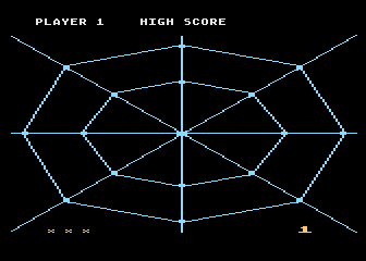 Web Master