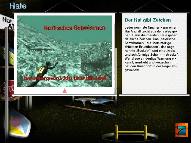 Welt der Wunder 3