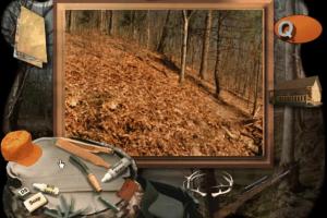 Whitetail Impact