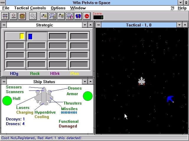 Win Pelvis-N-Space