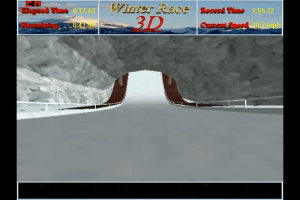 Winter Race 3D