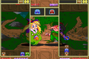 Witch Frog