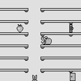 Witty Cat