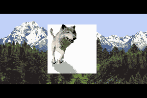 Wolf