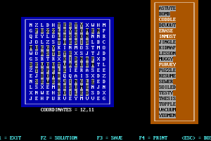 Word Hunt