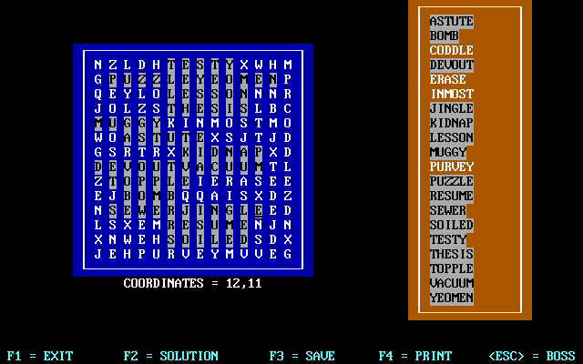 Word Hunt