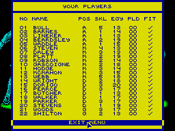 World Cup Challenge