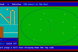 World Cup Cricket