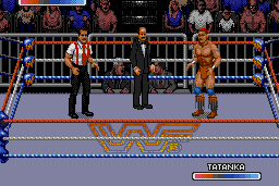 WWF Rage in the Cage