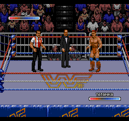 WWF Rage in the Cage
