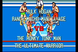 WWF SuperStars