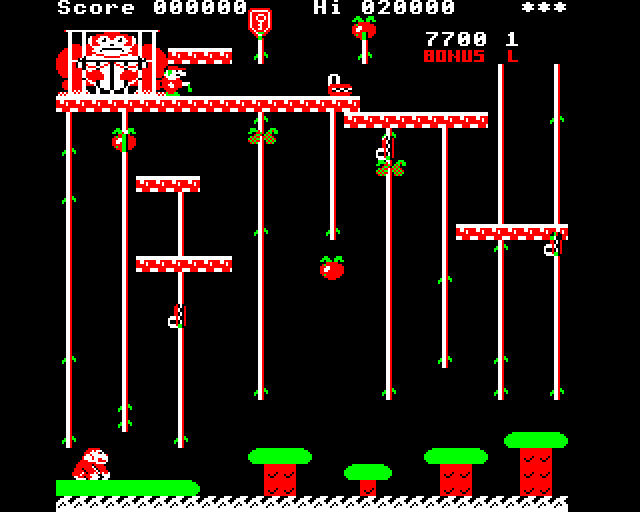 Zany Kong Junior
