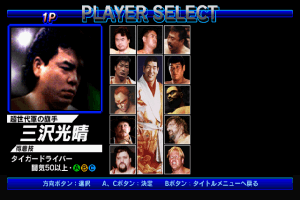 Zen-Nihon Pro Wrestling Featuring Virtua