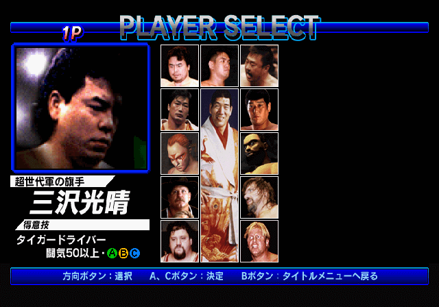 Zen-Nihon Pro Wrestling Featuring Virtua